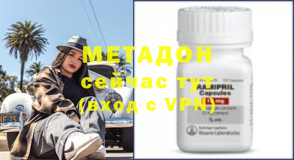 прущие грибы Елизово