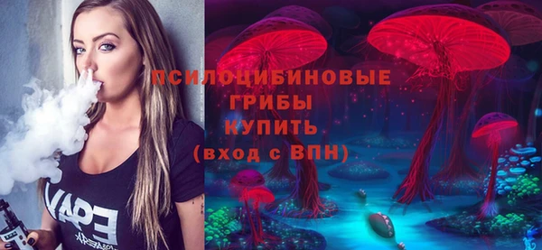 гашик Алзамай